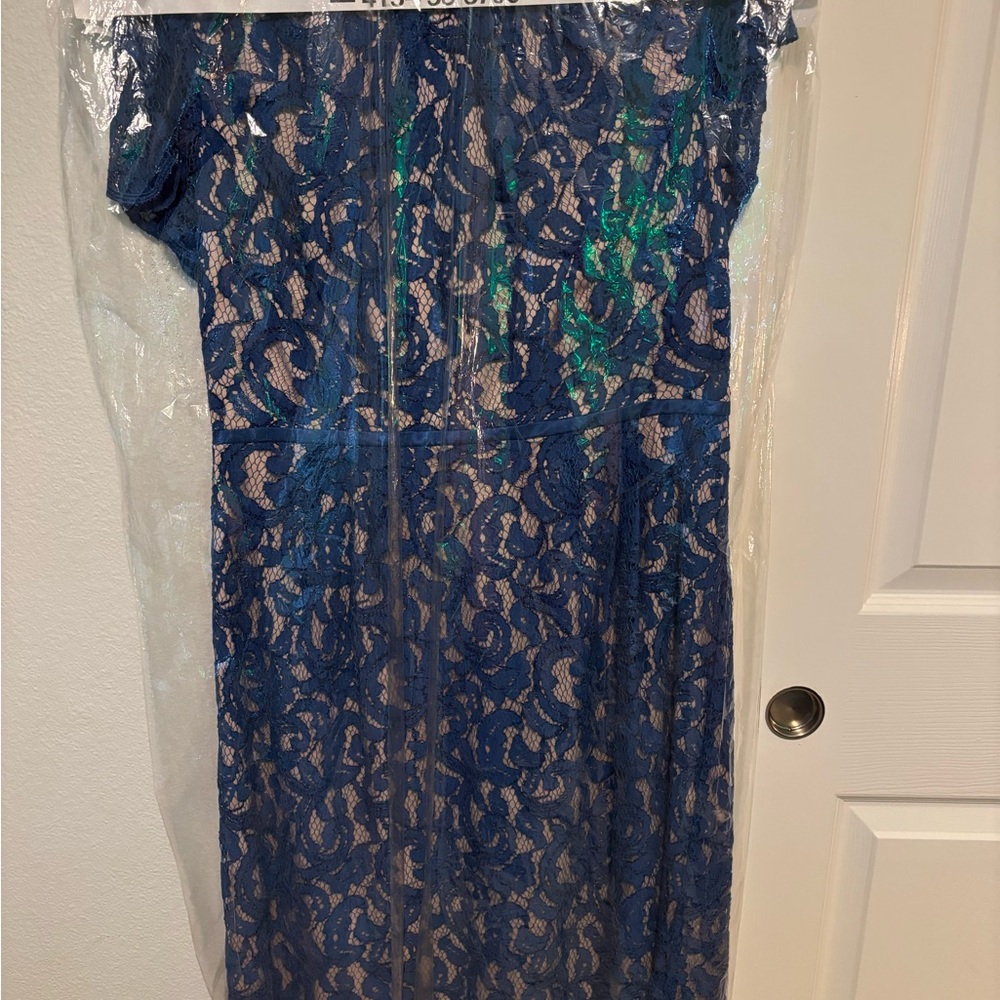 Adrianna Papell Blue Lace Dress